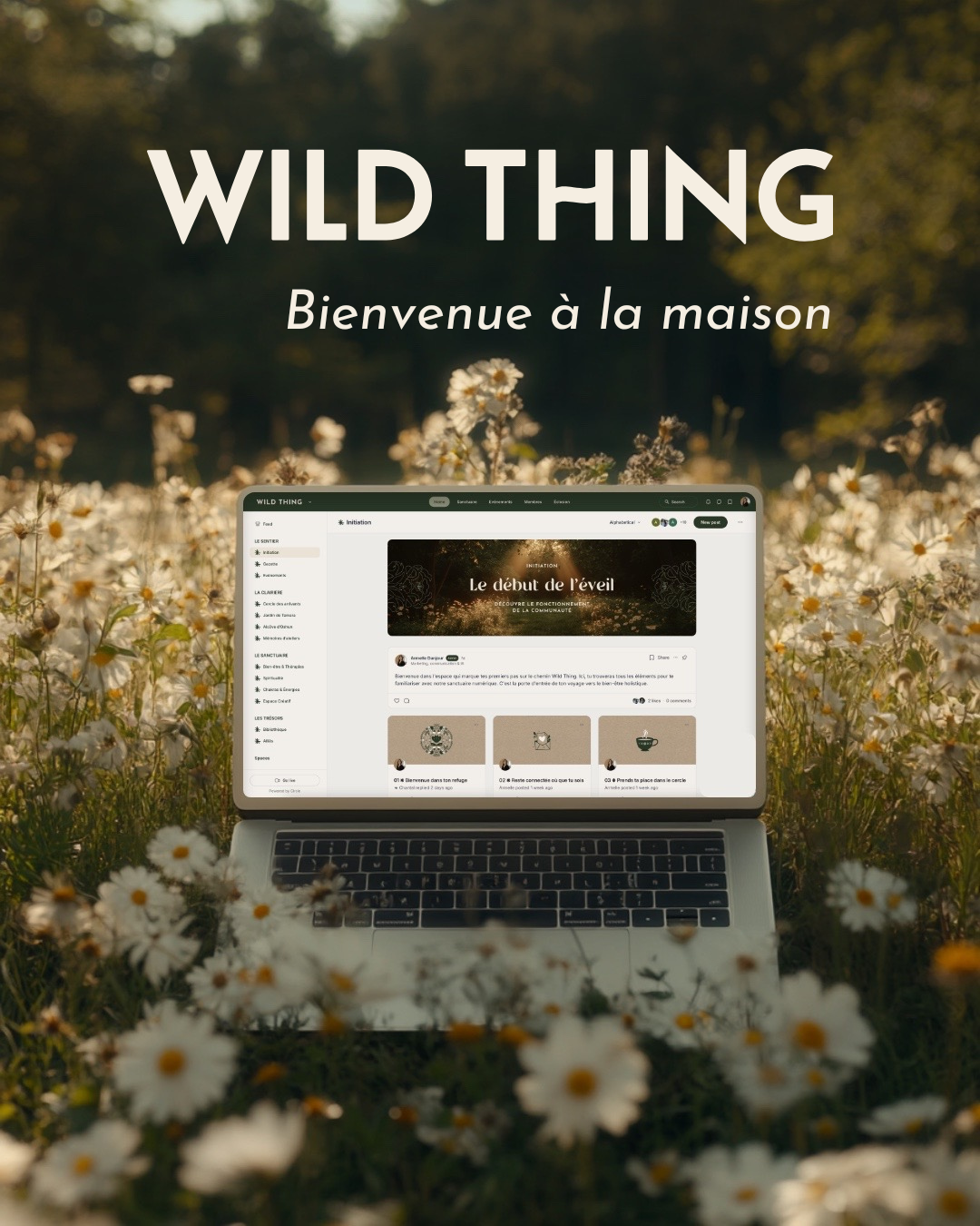 Plateforme holistique en ligne